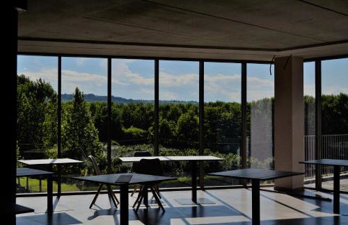 Agriturismo Vitae di Langa - Foto 54