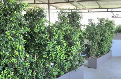 Parthenope Stopover - Photo 16