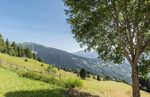 Baita Località Cap - Photo 29