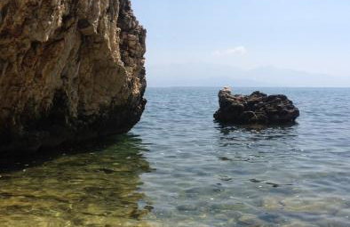 Janis Home - Foto 17