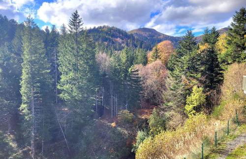 Duplex 4/6p Le Familial - Foto 1