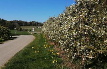 Ferienwohnung Hengnau in Wasserburg am Bodensee - Foto 13