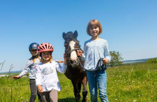 Pferdehof Bischof - Foto 10