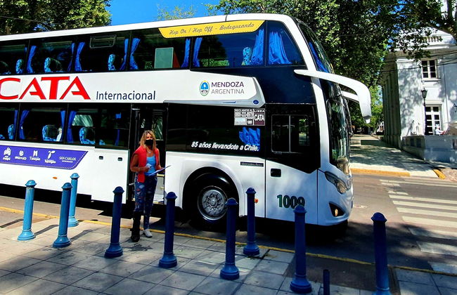 Tour nel sud della zona vitivinicola della Valle de Uco - Foto 1