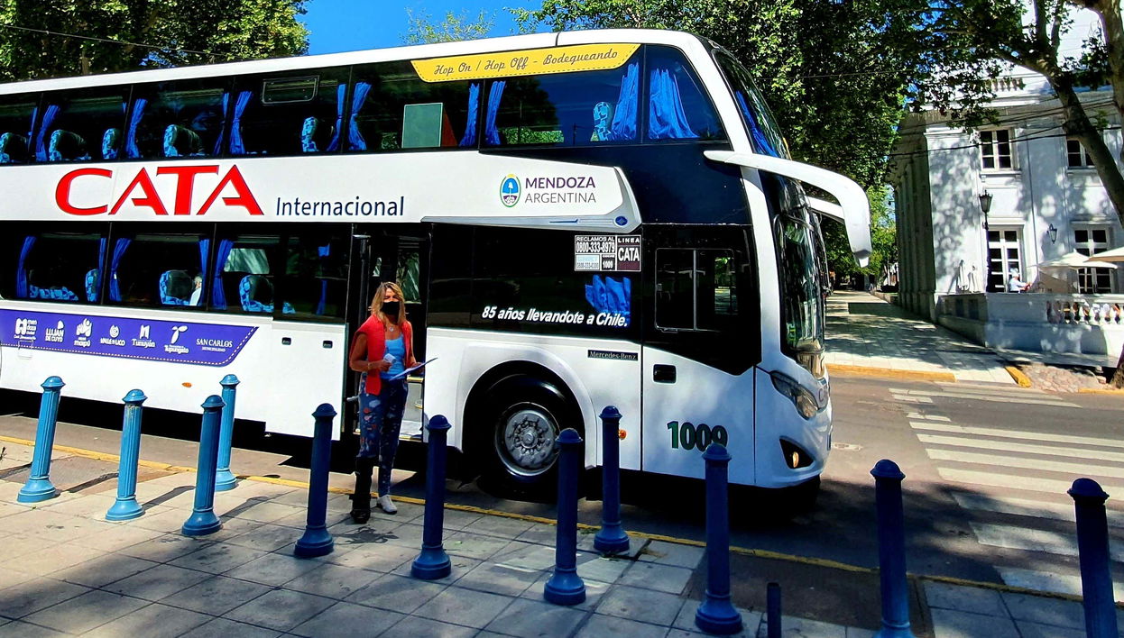 Visite du sud de la zone vitivinicole de la Vallée d'Uco