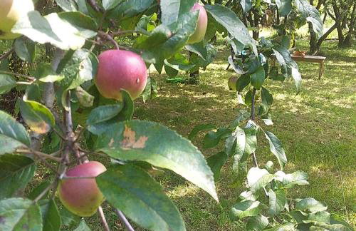 Uroczysko Ruczaj - Foto 13