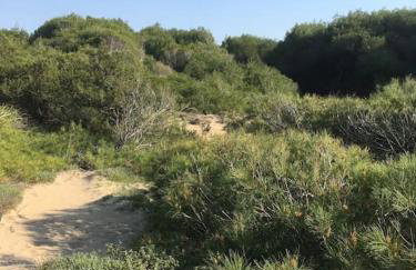 Villa Anastasia! in STROFYLIA pine FOREST!!! - Foto 10