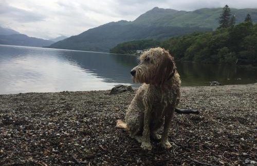 Ben Lomond Lodge - Foto 8