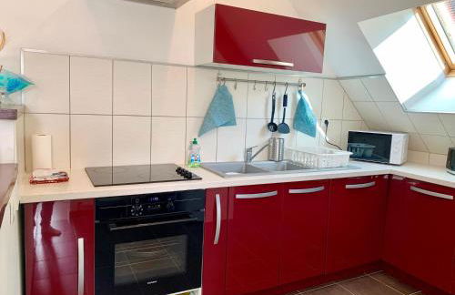 Le Paraty - Maison indépendante 72 m2 - Foto 12