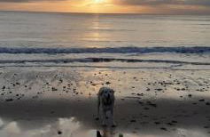Under the Stars Shepherds Huts at Harbors Lake - Photo 38