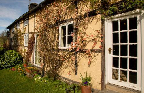 Dolgenau Cottages - Foto 24