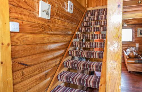 Thistle Dubh "Doo" - Foto 14