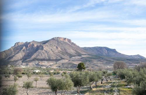 Cortijo Rural Ananda - Foto 33
