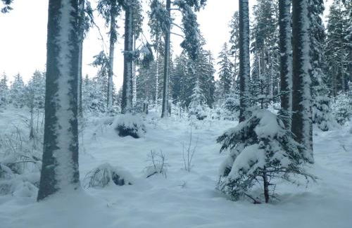 Gästehaus Hundelbach - Foto 40