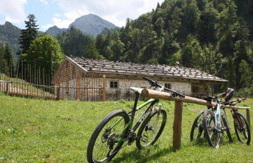 Ferienwohnungen Ortner-Hof inkl. Chiemgaukarte - Foto 19