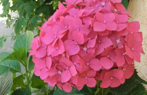 Apartamento en pleno Montseny Mas Romeu Turisme Rural - Foto 41