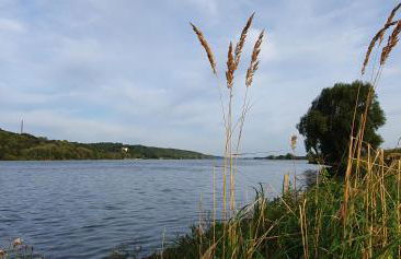 Wohnung Corinchen - Foto 12