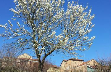 La Casa Blu - Foto 59