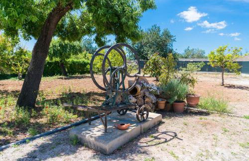 Ses Llegitimes - Foto 7