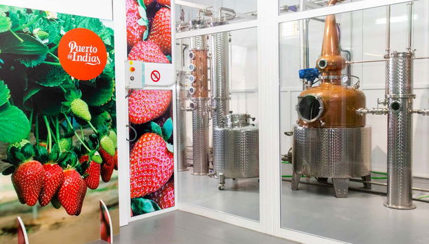 Descubriremos cómo se destilan las ginebras de Puerto de Indias