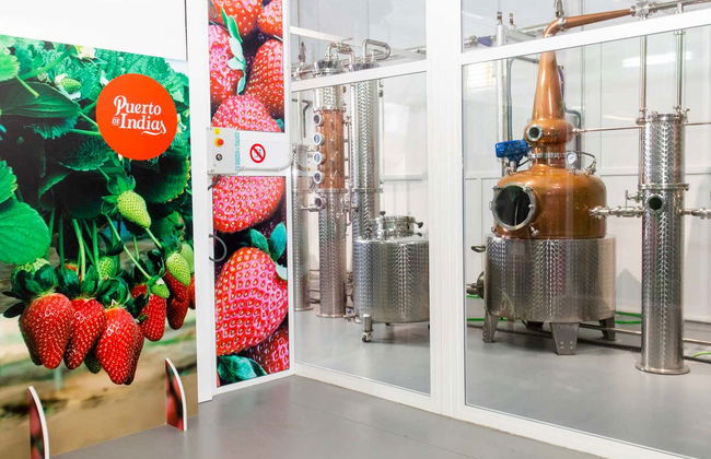 Visite de la distillerie Puerto de Indias - Photo 2