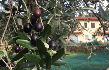 Agriturismo Oltrealmare - Foto 44