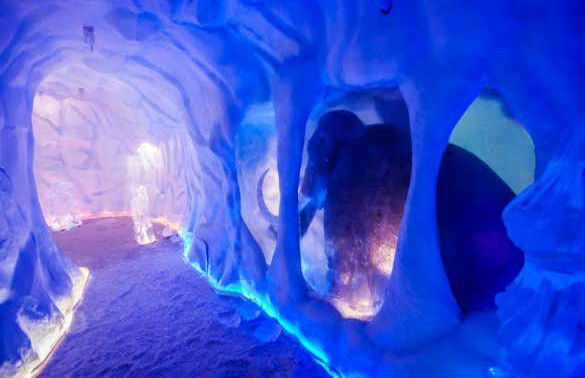 Ingresso do parque Mundo Gelado do Capitão - Foto 6