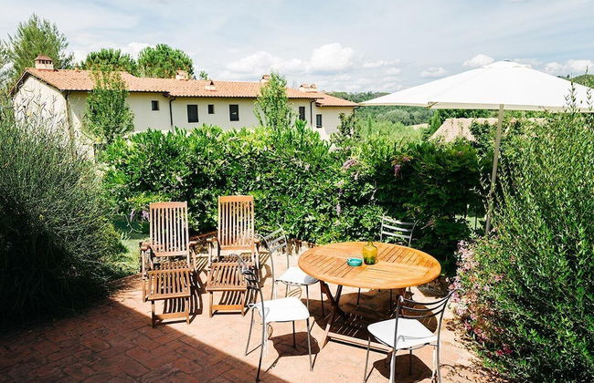 Gatto Bianco Tizzauli - Foto 31