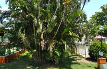 Bangalô PARAÍSO EM CABO FRIO - Foto 12