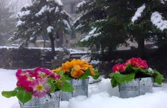 Marina's Stone Cottage - Foto 44