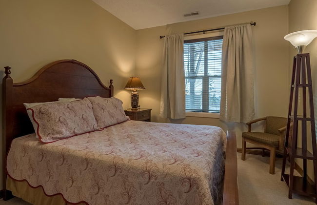 5 Br: Black Bear Crossing #4 - Foto 3