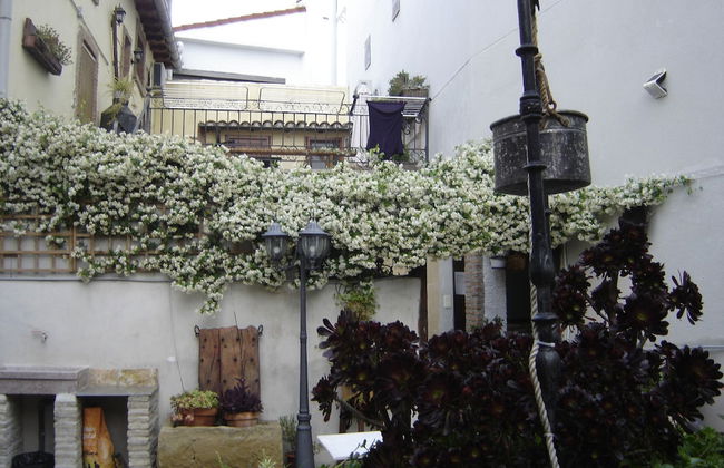 Casa rural La Bardena Blanca I - Foto 42