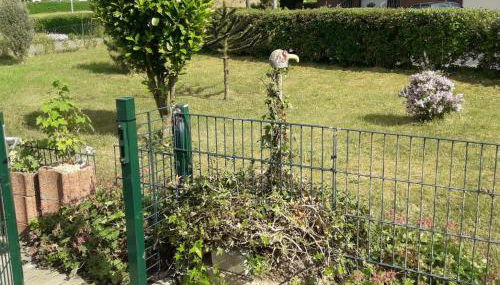 Wershofen/Eifel - Photo 5, Garden view