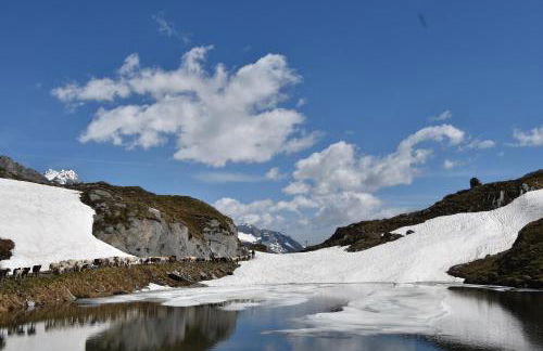 Ferienwohnungen Unterangerhof - Photo 33