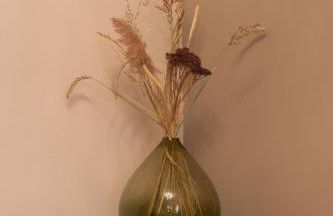 La Maisonnette Etape de Saint-Côme d'Olt - Photo 9