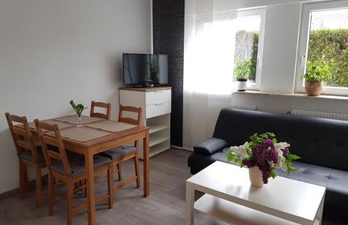 Am Badischen Weinberg - Foto 1