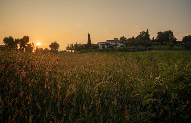 Agriturismo Relais Maddalene101 - Foto 55