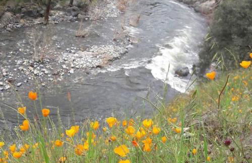 The Haven -In Town, NEWLY remodeled, Private, Stocked - Foto 27