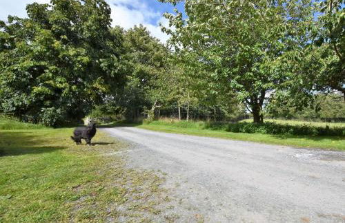 4 Bed in Painscastle 90375 - Foto 29