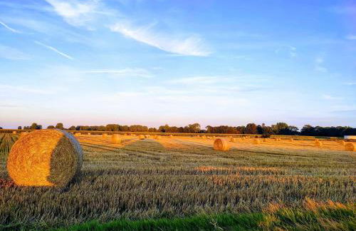 La Poulinière - Foto 18