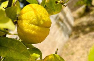 Holiday Home Tanjas Paradise by Interhome - Foto 20