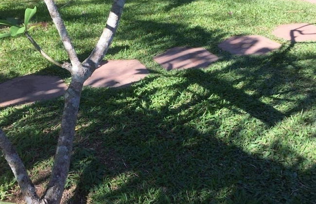 Pokakempi Tours - Foto 17