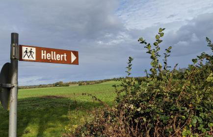 Holtdeel - Foto 25
