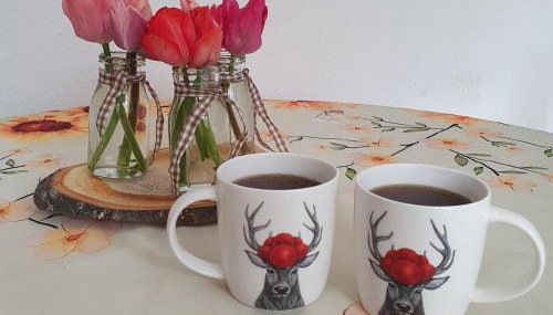 Ferienwohnung in Durbach- Urlaub am Weinberg - Foto 5