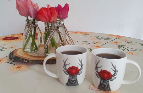 Ferienwohnung in Durbach- Urlaub am Weinberg - Foto 6