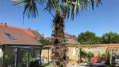 L'Atelier Zen - Foto 2