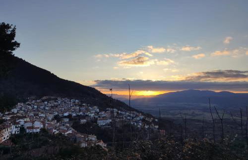 El portal de Beni - Foto 24