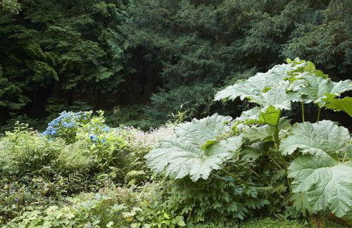 Bull Hollow Cottage - Foto 21