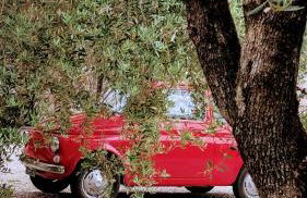 Lake Garda Renovated Apartment - Foto 29