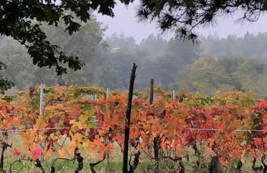 Cascina La Maddalena Bed & Wine - Foto 29